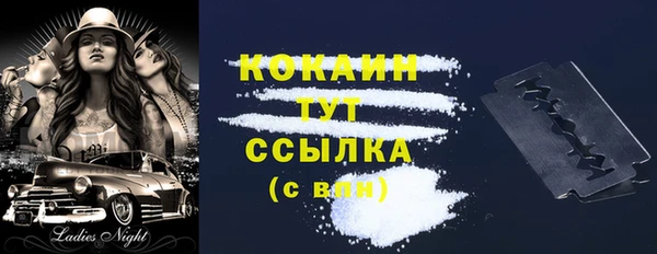 крисы Медногорск