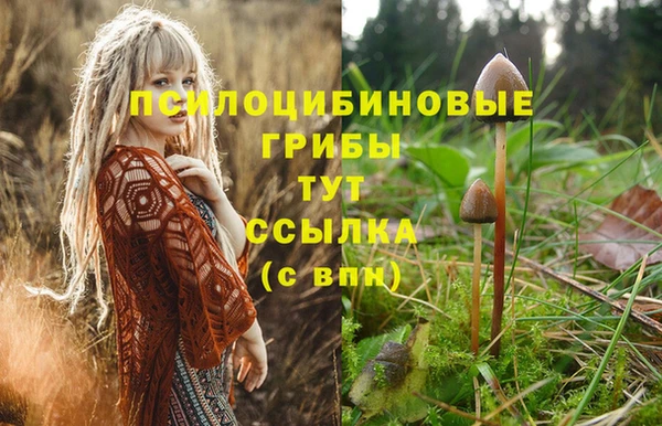 круглые Медвежьегорск