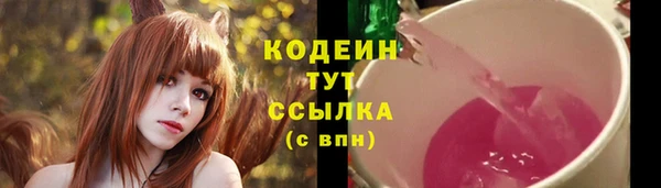 крисы Медногорск