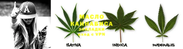 крисы Медногорск