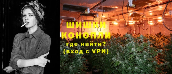 крисы Медногорск