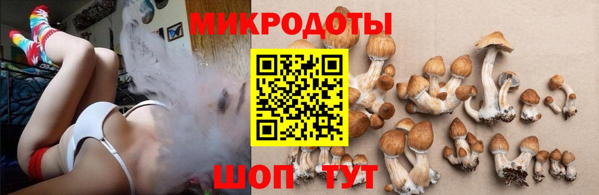Галлюциногенные грибы MAGIC MUSHROOMS Холмск