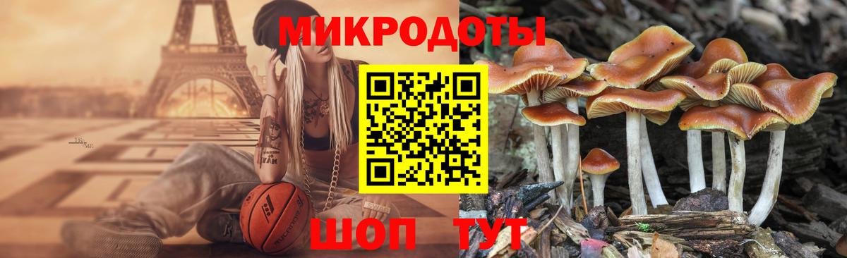 Псилоцибиновые грибы мицелий  Галлюциногенные грибы GOLDEN TEACHER  Холмск  Вход с VPN 